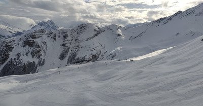 Saison ouverte !.. Au printemps ? 