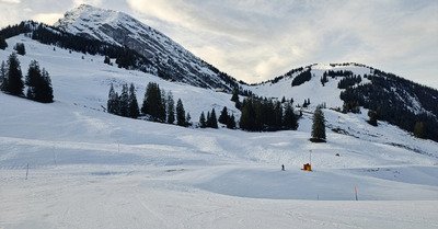 Les pr&eacute;alpes dans la tourmente