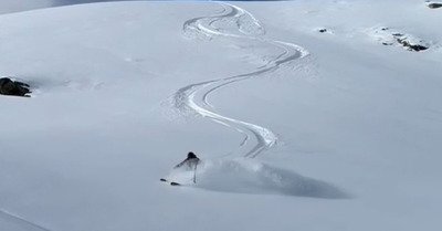 Sun&ColdPow ❄️👌et quelques sharks 🦈 