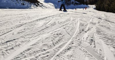 Le collet tient le coup