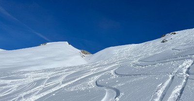 Retour aux affaires ☺️