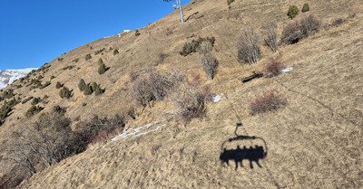 R&eacute;chauffement et surpopulation.