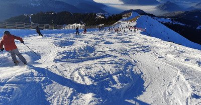 Les bosses &agrave; monchus 🐫