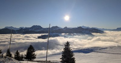 Surprenant malgr&eacute; les conditions 
