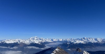 Le Cheval Noir rend les armes