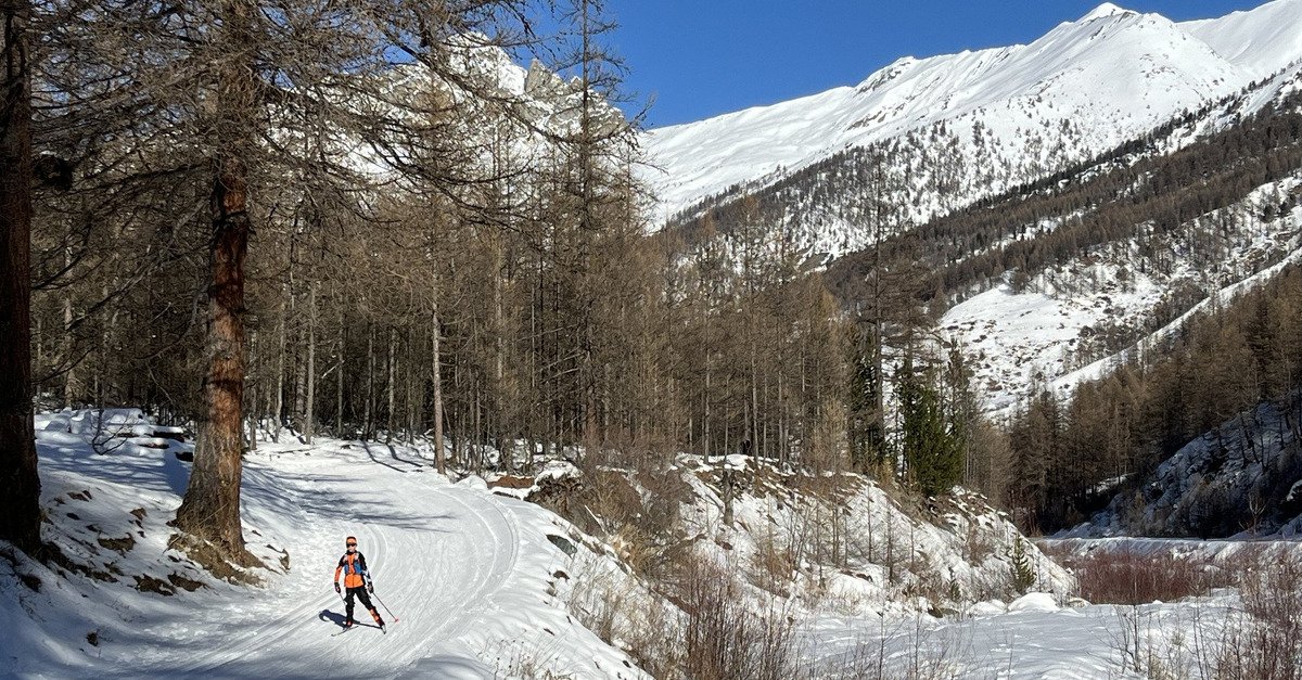 Skating plaisir pour hockeyeur en poudreuse 