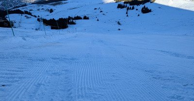 &Ccedil;a sent la fin... De l ann&eacute;e!