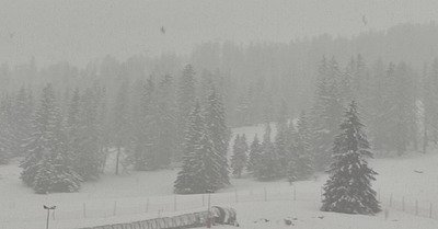 La neige est l&agrave; !!!!