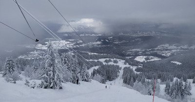 de la pow et des sapins!