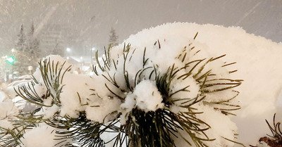 La neige fra&icirc;che arrive !