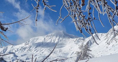 Koalinette au col de la Gardette