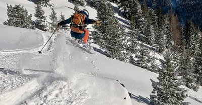 Gavage... et prudence 😱😎