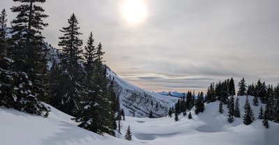 Charmant Som en Chartreuse 