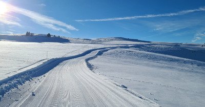 Pas loin d'&ecirc;tre parfait