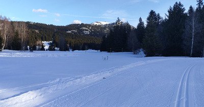 Bonnes conditions pour le skating 