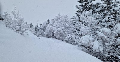 Les jours se suivent mais ne se ressemblent pas 😶&zwj;🌫️😶&zwj;🌫️