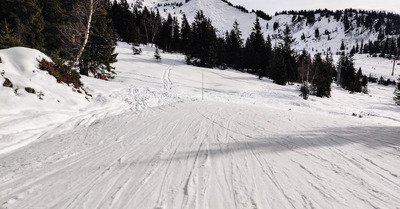 collet samedi, sympa pardi