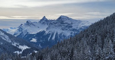 Pas loin de la perfection