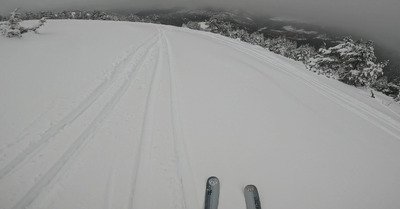 &iexcl;Viva Cerdanya!