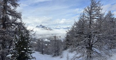 L&rsquo;homme de pierre