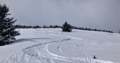 Un chtit peu de Peuff 😜