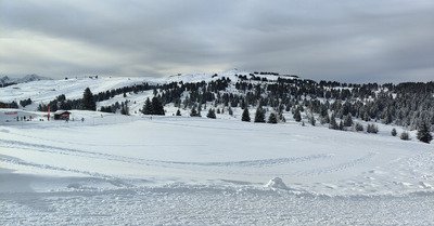 Skating lent, mais beau skating 🤩