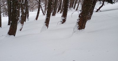Braquage &agrave; la Gapen&ccedil;aise 