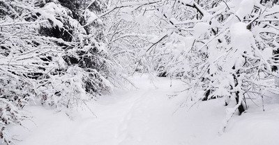 Hold up entre midi et deux 