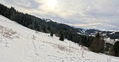 Une petite couche de fra&icirc;che qui embellit la journ&eacute;e