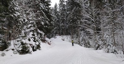 Bonne glisse et bonne accroche pour le ski de fond 