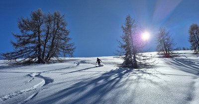 Froid et on attend la livraison de peuf