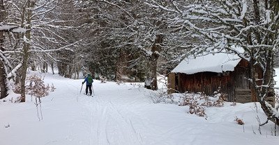 Charmant Som en Chartreuse (38)