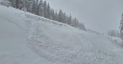 Ouverture tr&egrave;s r&eacute;duite du domaine 