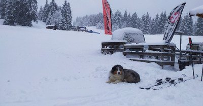 Nord Belledonnes avec +20 cm minimum