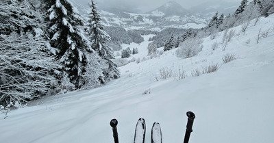 Snowstorm - US ou Tri&egrave;ves&nbsp;?