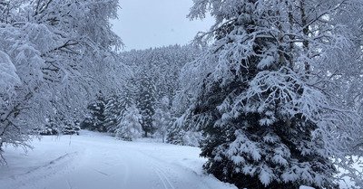 Ski de fond dans un cadre f&eacute;erique malgr&eacute; le ciel gris