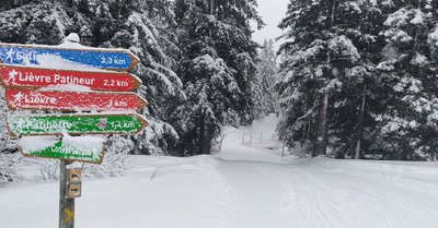 Ski de fond f&eacute;erique mais pas bien glissant 