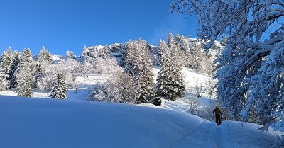 La Pin&eacute;a (Chartreuse) 