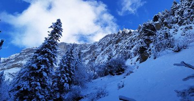 sortie f&eacute;&eacute;rie