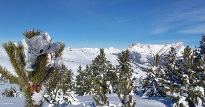 Jolie journ&eacute;e sur Ce&uuml;se
