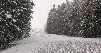 Poudre lourde et bonne frayeur 