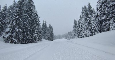 Skating poudreux 🌨️