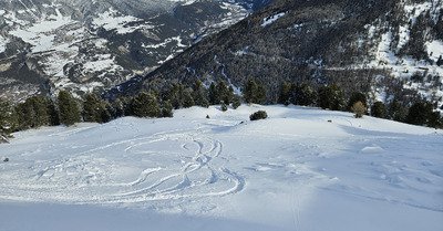 En haute Maurienne aussi il y en a !