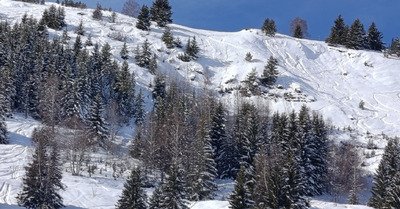 Another day in paradise