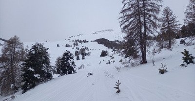 Ca fait pas r&ecirc;ver aujourd'hui 😂