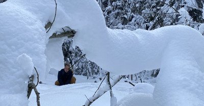 La Chartreuse comme nous aimerions la voir plus souvent!