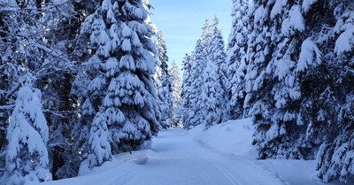 D&eacute;couverte de la piste des Li&egrave;vres