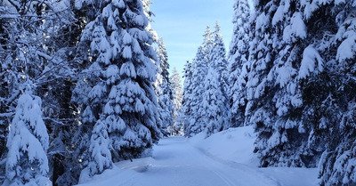 D&eacute;couverte de la piste des Li&egrave;vres