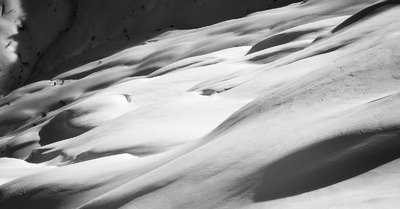 Qualit&eacute; avec quantit&eacute; 