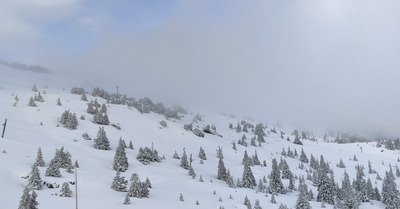 M&eacute;t&eacute;o tr&egrave;s mitig&eacute;e mais bonne neige